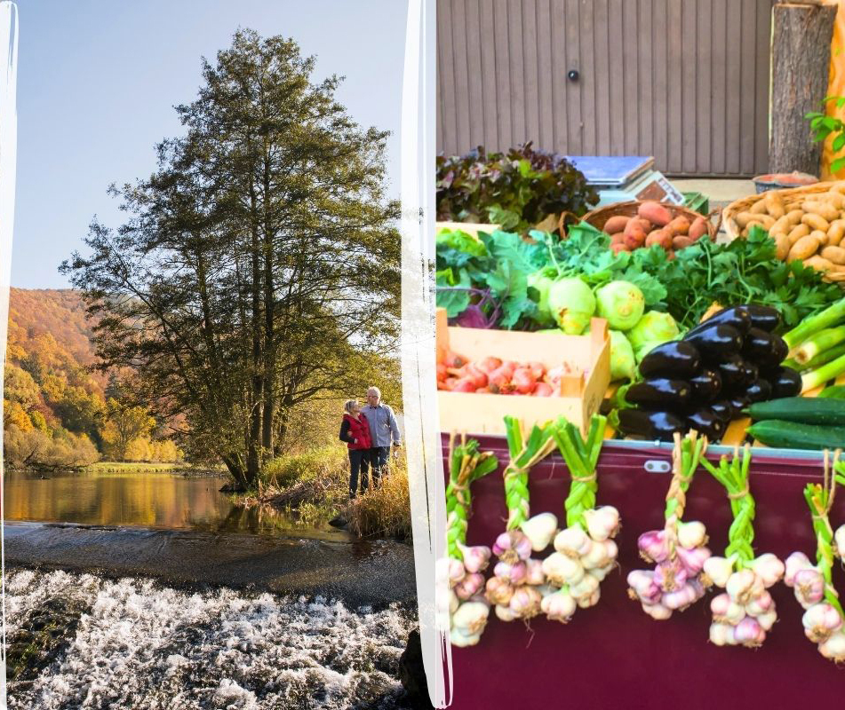 2025_Header Bild neue Website Region - 3